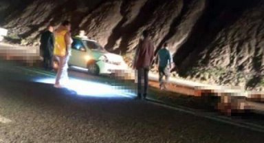Otomobil sürüye çarptı; 17 koyun öldü