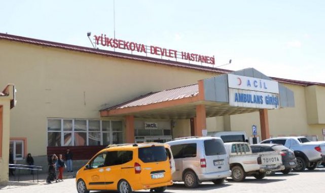 Pancar toplarken ayının saldırısına uğradı