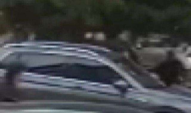 Park kavgasında hakime yumruk atan şüpheli tutuklandı
