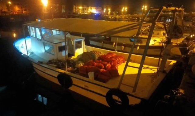 Piyasa değeri 2 milyon TL olan 1,5 ton kum midyesi ele geçirildi