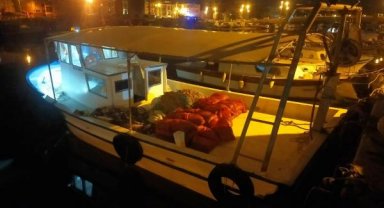 Piyasa değeri 2 milyon TL olan 1,5 ton kum midyesi ele geçirildi