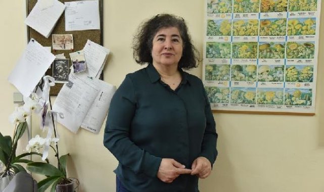 Prof. Dr. Pekşen: Mantar ölümlerinin yüzde 95'i 'Köygöçüren' türünden kaynaklanıyor
