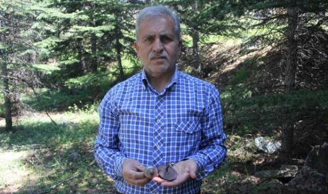 Profesörden 'ölüm meleği' mantarı uyarısı
