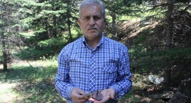 Profesörden 'ölüm meleği' mantarı uyarısı