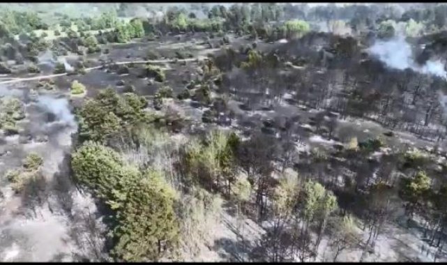 Rusya'dan sonra Ukrayna'da da orman yangını