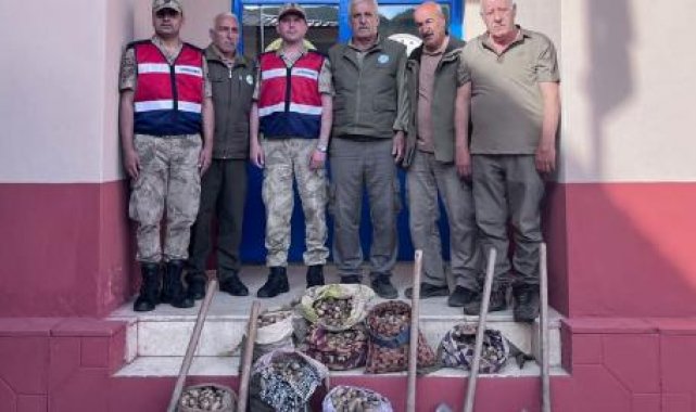Salep soğanı toplayan 6 kişiye 680 bin lira ceza