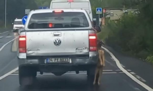 Sarıyer'de pikapta asılı şekilde taşınan köpek görüntüsü tepkilere neden oldu
