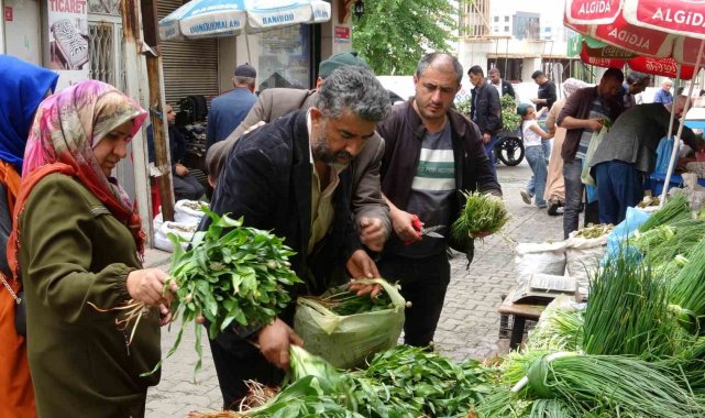 Siirt'te kenger ve sirik otu tezgahlarda yerini aldı