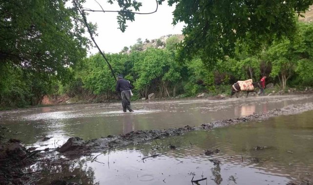 Siirt'te köylüler yıllardır hayvan gücüyle tohumları toprakla buluşturdu