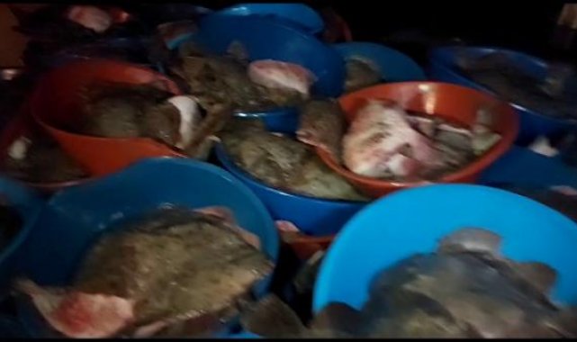 Şile'de yasa dışı balık avlayanlara ceza