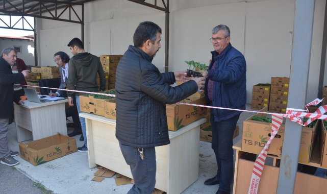 Sinop'ta 80 bin sebze fidesi dağıtıldı