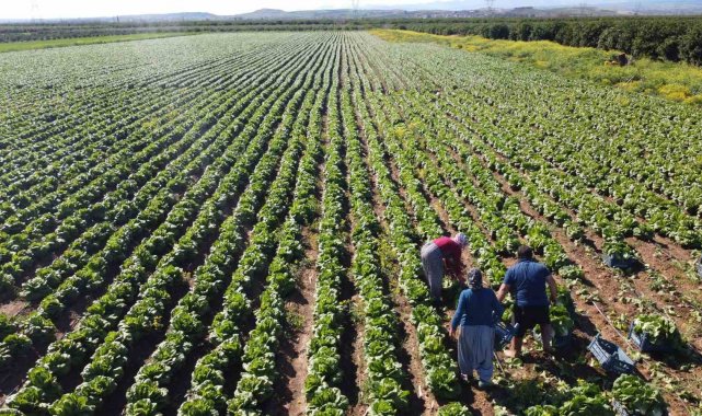 Tarımda üretici enflasyonu nisanda yüzde 71,52'ye geriledi