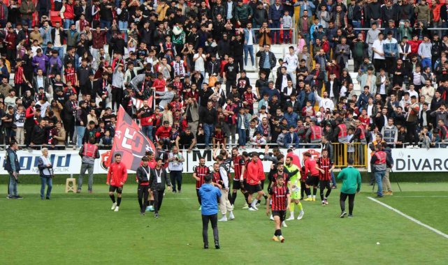 TFF 2. Lig: 24Erzincanspor: 1 - Amedspor: 0