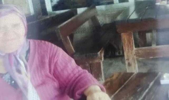 Torununun arkadaşını evinde istemediği için çapayla öldürülmüş