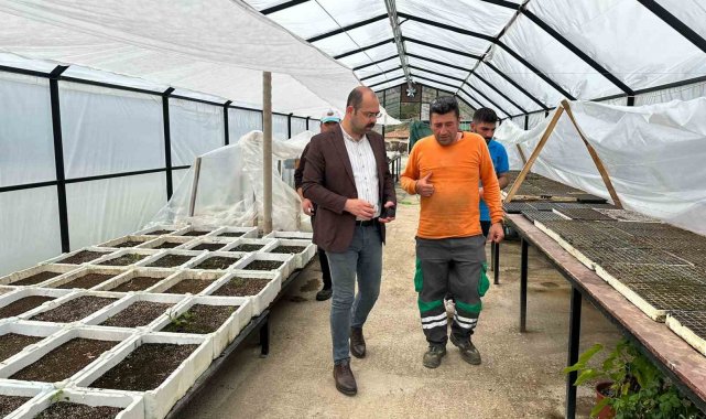 Tosya Belediyesi ilçeyi botanik bahçesine kavuşturacak
