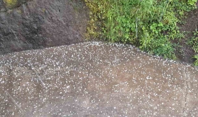 Trabzon'da dolu yağışı etkili oldu