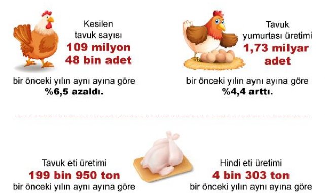 TÜİK: Martta yumurta ve içme sütü üretimi arttı, tavuk eti üretimi azaldı