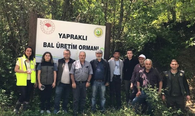 Türkeli'de 'avcı böcekler' iş başında