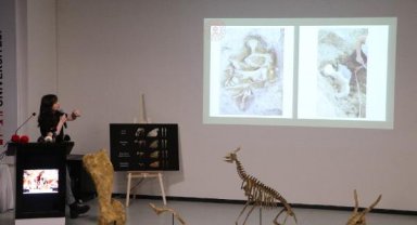 Türkiye'nin ilk paleontoloji müzesinin yüzde 80'i tamamlandı