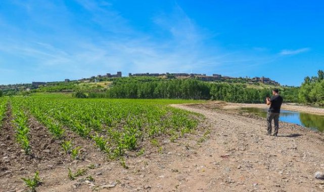 UNESCO listesindeki Hevsel Bahçeleri'nin biyoçeşitliliği kayıt altına alınıyor