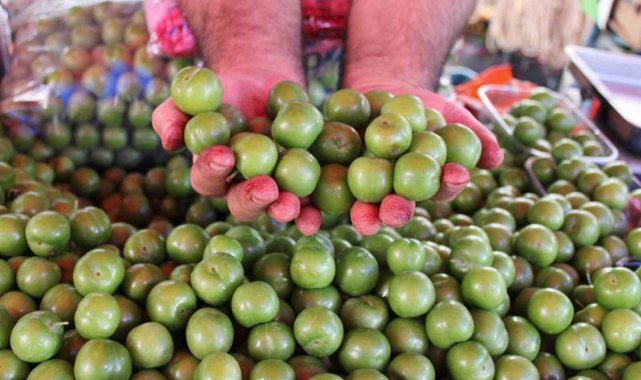 Vazgeçilmez yaz meyvesi erik tezgahlarda yerini aldı