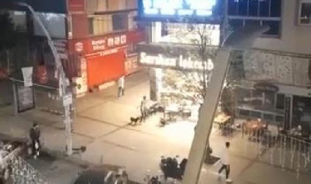 Zeytinburnu'nda pitbull ile gelip iş yerine saldırdılar
