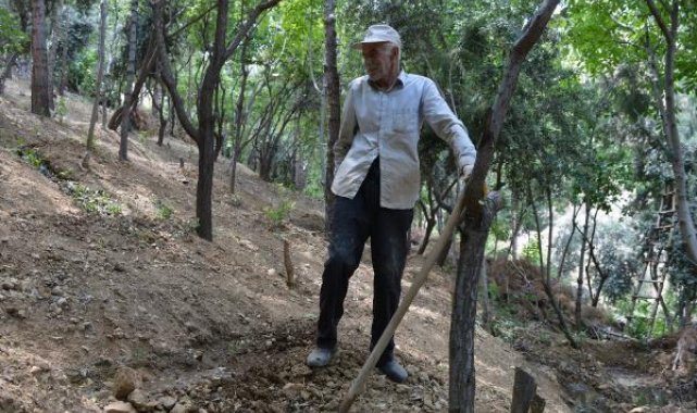 28 yılda çöplüğü ormana dönüştürdü gençlere 'Ağaç dikin' dedi