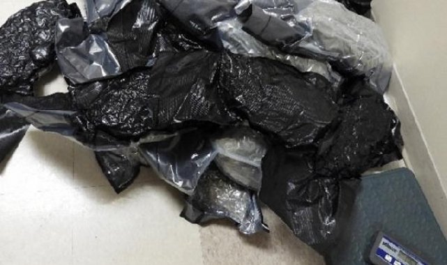 'Yanlış koordinatları' takip eden Amerikalı sürücü, 181 kg esrarla Kanada sınırında yakalandı