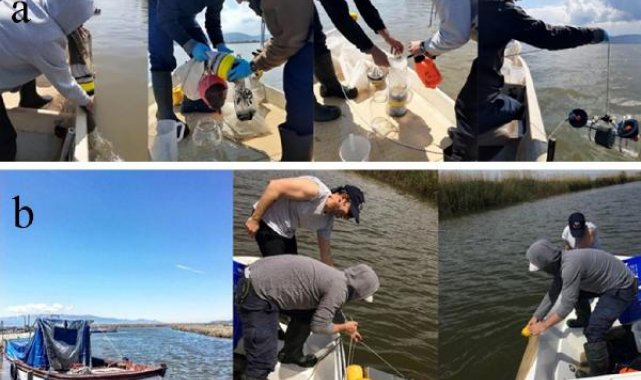 5 havzada 290 milyon adet mikroplastik tespiti