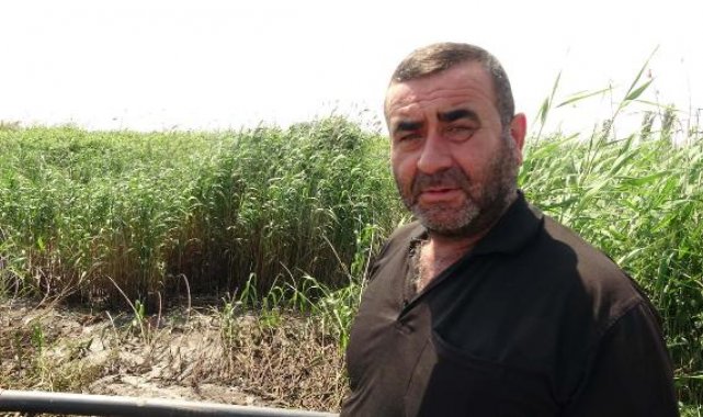 8 mahallede tarım arazilerini sulayan kanal, siyah akıyor