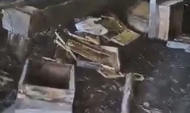 Aç kalan ayı arı kovanlarını parçaladı