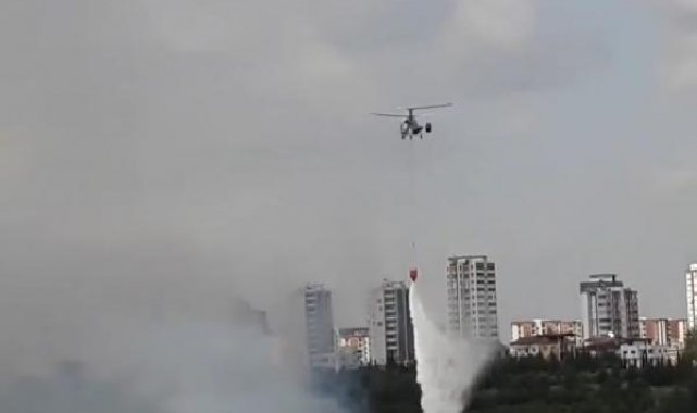 Adana'da, anız yangınında alevler ormana sıçradı