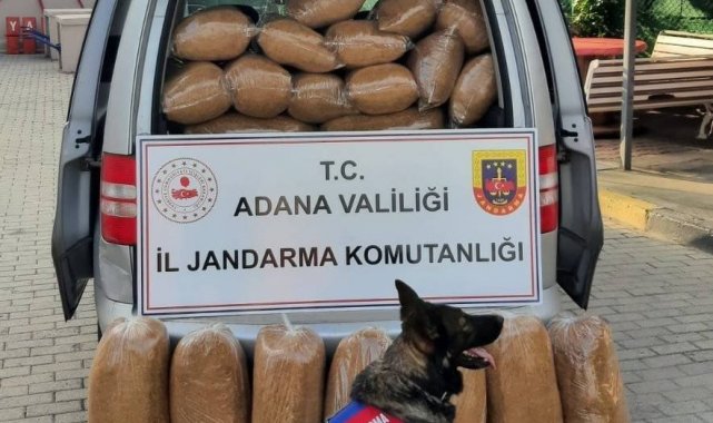Adana'da kaçak 255 kilogram tütün ele geçirildi