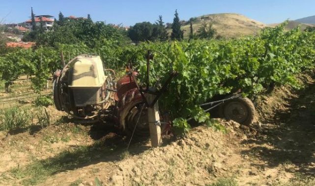 Ağaçtaki kuşu vurmak isterken komşusunu öldüren şüpheli serbest