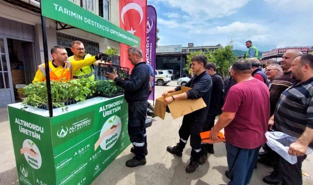 Altınordu'da çiftçilere 452 bin adet fide desteği