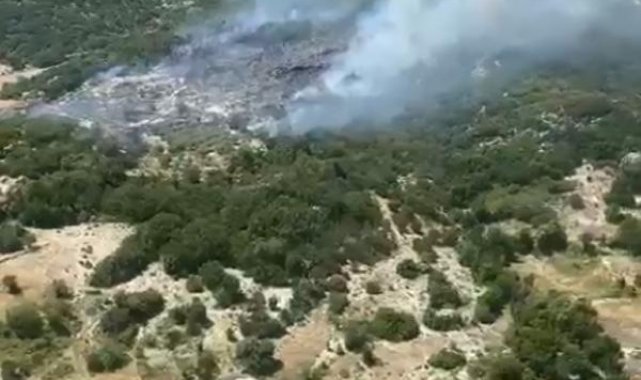 Antalya'da orman yangını; 1 saatte söndürüldü