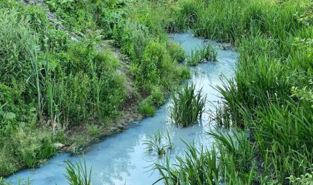 Arnavutköy'de derenin rengi maviye döndü, mahalleli tedirgin oldu