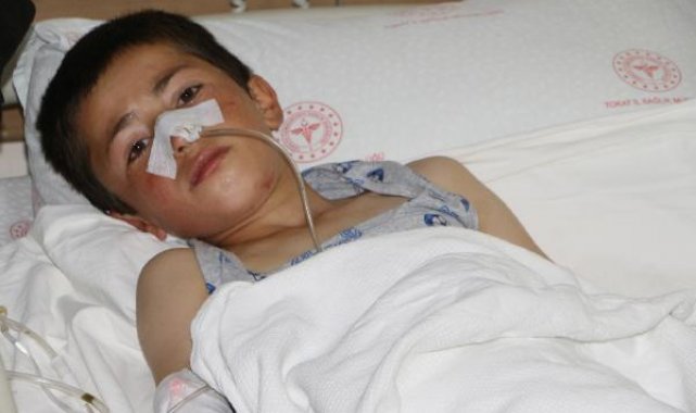 Ayı saldırısında yaralanan Enes, hayati tehlikeyi atlattı