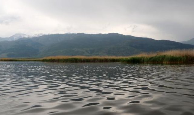 Bahar yağmurları ile Eber Gölü'nün su seviyesi yükseldi