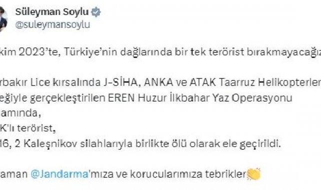 Bakan Soylu: Lice kırsalında 3 PKK'lı terörist ölü olarak ele geçirildi