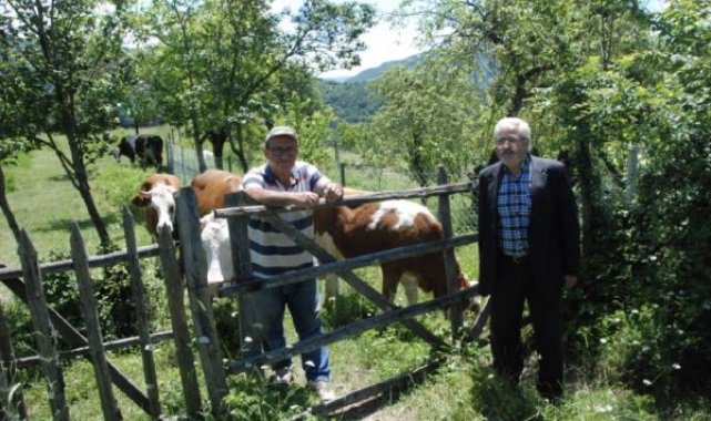 Bartın'da şap hastalığı nedeniyle hayvan pazarları kapatıldı
