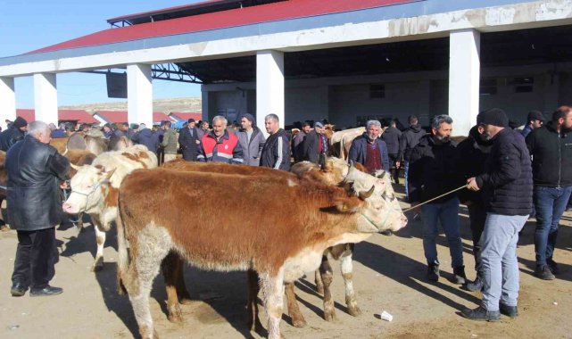 Bayburt'ta Kurban Bayramı heyecanı
