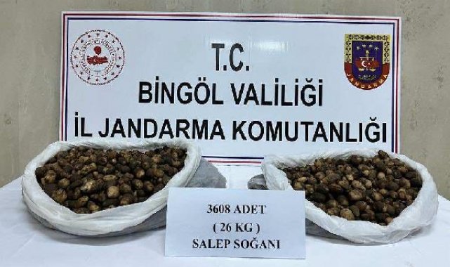Bingöl'de kaçak salep soğanı toplayan 2 kişiye 488 bin 630 lira ceza