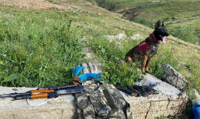 Bitlis merkezli 6 ilde silah kaçakçılarına operasyon: 6 gözaltı
