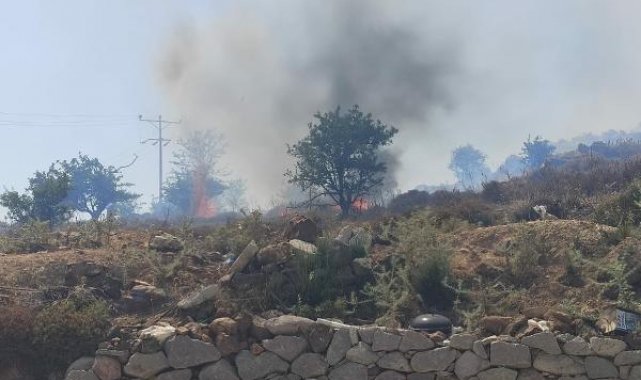 Bodrum'da alevler 20 dönüm makiliği küle çevirdi