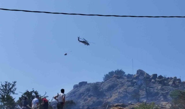 Bodrum'da otluk ve makilik yangını