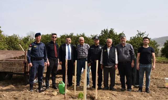 Buharkent tarımı atağa kalktı