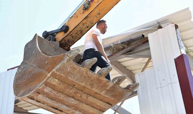 Bursa'da kaçak yapı yıkımını kuş yuvası durdurdu