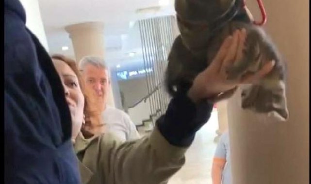 Büyükçekmece'de duvar delindi, yavru kedi kurtarıldı