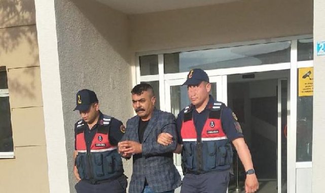 Çaldıkları 2 ineği tarlada kesip, eti satmışlar